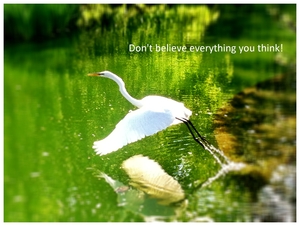 RTEmagicC_Don_t_believ_everything_you_think__01
